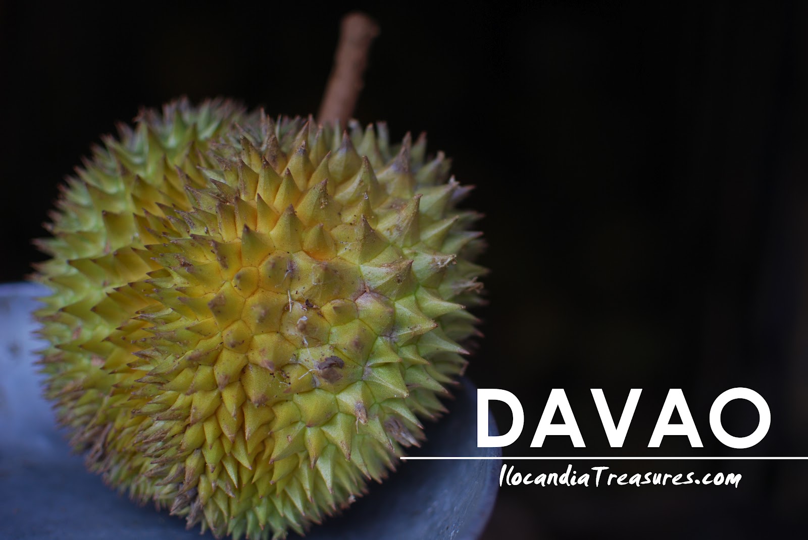 Sầu riêng Davao 