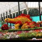 lalbagh-flower-show-dinosaurs