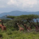 Vẻ đẹp hoang sơ ở Kenya