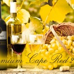 Thưởng thức rượu vang Nam Phi
