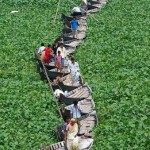 Độc đáo cây cầu thuyền ở Bangladesh