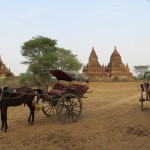 xe ngựa ở Myanmar