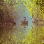Sundarbans-min