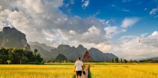Đi dạo trên cánh đồng lùa sắp chín ở Vang Viêng